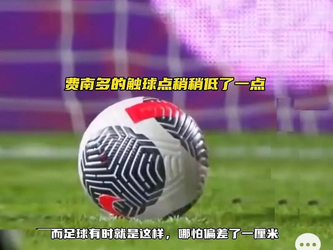 未尝实现的